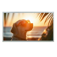 Microtech 18.5 İnç 500 Nit TFT LCD Panel Modülü 1920x1080 Çözünürlük EDP Arayüzü LVDS İletişim Anti-Glare Yüzey LED