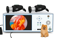 Caméra chirurgicale portable 1080P FHD 1/1.8'' CMOS, nouvelle conception, prix d'usine, pour chirurgie ORL et animale (chien) - Marque snuke, sûre