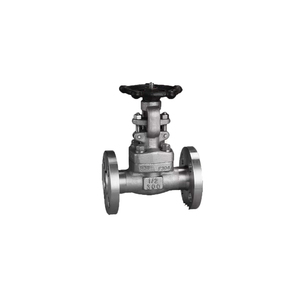 หน้าแปลนปลายท่อเหล็ก F304 วาล์วเหล็กกล้าขาว F316 ประตูเหล็ก A105N สแตนเลสฟอร์จ 800 ปอนด์ 900 ปอนด์ 1500 ปอนด์ 2500 ปอนด์ - Product Image 1