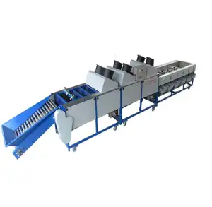 Fruit and vegetable Cherry tomato Grading machine sorter machine for fruits and seafood