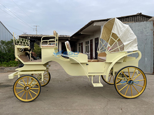 Charrette de chevaux électrique pour visites touristiques, charrette de chevaux royale pour mariage à vendre - Product Image 2