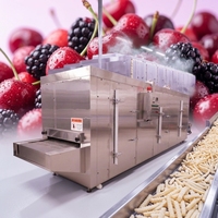 Congélateur tunnel industriel pour congélation rapide d'ananas, raisins, cerises et fruits frais
