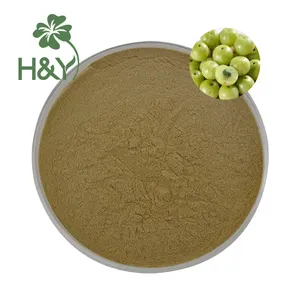 Natural Phyllanthus emblica P.E. fruit extract powder Phyllanthus Emblica Extract 10:1