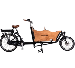 <strong>Nexus</strong> 3 Speeds Cargo 2021 Clamber Cargo Bike Bike Bicycle Electric for Adult Brand 2 Wheel Steel Lithium Battery <strong>LCD</strong> Brushless - Product Image 3