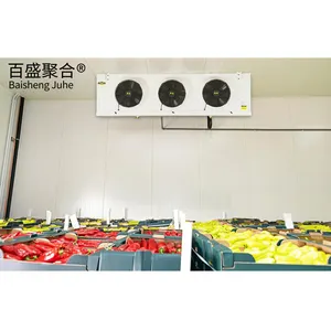 Large Capacity Cold Room warehouse can storage Corrosive food for durian fresh fruits