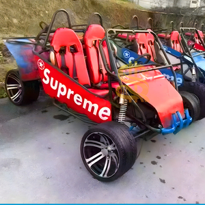 Karting innovant avec <span class=keywords><strong>prix</strong></span> direct usine, largement utilisé dans les projets d'équipements de parcs à thème - Product Image 3