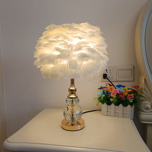 Modern White Pink <strong>Grey</strong> Crystal Feather <strong>Lamp</strong> LED Creative Pearl Goose Feathers for Bedroom Decoration E27 Bedside <strong>Floor</strong> <strong>Lamp</strong> - Product Image 1