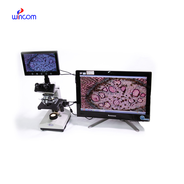 D2320 Biological USB Trinocular Electron Lcd Display Digital Prices Microscope with Screen