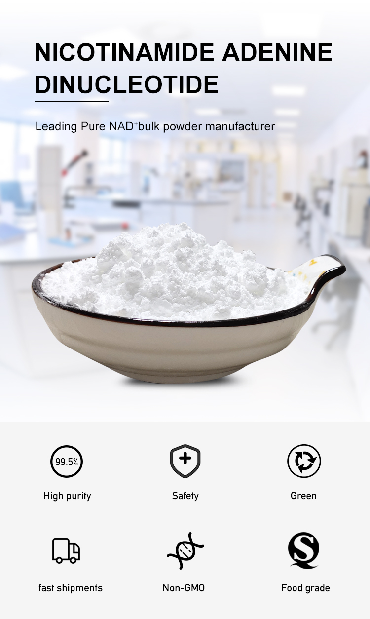 Pó 1kg de Beta Nicotinamide Adenine Dinucleotide Powder NAD+ da pureza de 99% 1
