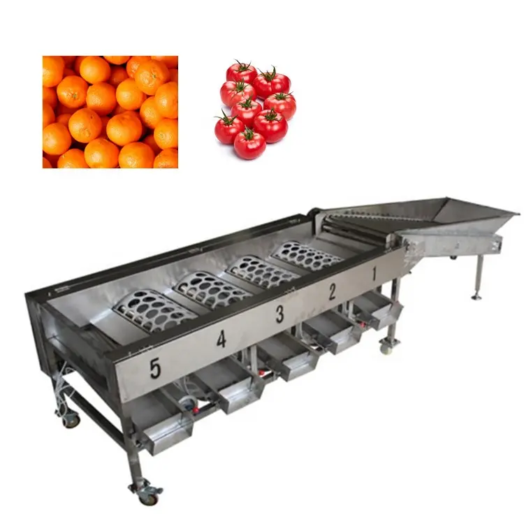 Fruit Cherry Grader Automatische Fruitgroente Sortering Olijfappel Sinaasappel Tomaat Avocado Sorteermachine