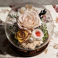 Kubah Kaca Bunga Awet Mawar Asli - untuk Hari Valentine, Hari Ibu & Pernikahan; Hadiah Bunga Awet Terlaris