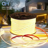 Bande lumineuse LED 220V, bande lumineuse COB, éclairage extérieur, bande LED flexible étanche pour jardin, patio, décoration, éclairage LED
