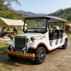 Auto Clásico Eléctrico de Alta Gama con Interior de Lujo, Vehículo Retro para Transporte de Invitados VIP - Product Image 1
