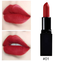 Vente chaude qualité rouge à lèvres mat peut être personnalisé LOGO tube carré velours brume brillant rouge à lèvres durable