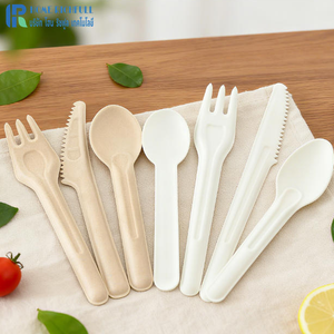 Ensemble de couverts en pulpe de bambou compostable écologique 3 en 1, style simple, pulpe de canne à sucre, papier bagasse blanc comestible, couteau, fourchette, cuillère - Product Image 4