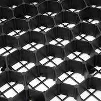 Dalles Stabilisatrices de Sol Équestres pour Paddock, Grilles Anti-Boue et Gravier