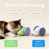 Accessoires pour animaux de compagnie, jouet interactif automatique rechargeable pour chat, souris pour chat d'intérieur et chaton