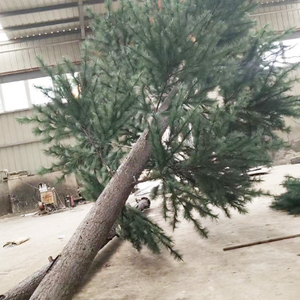 पर्यावरण के अनुकूल कैमलॉफ्ड ट्री संचार टॉवर जीएसएम एंटीना टॉवर प्राकृतिक रूप से 20 मीटर ऊंचाई सीमा - Product Image 3