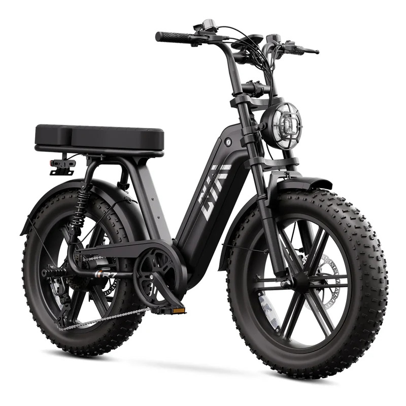 Vélo électrique noir (Vélo électrique 2 places)