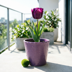 Pots à fleurs en céramique <span class=keywords><strong>de</strong></span> qualité supérieure, 6,5 pouces, violet foncé, à bord festonné côtelé, pour <span class=keywords><strong>une</strong></span> <span class=keywords><strong>d</strong></span>écoration élégante <span class=keywords><strong>de</strong></span> la maison et du jardin, plantes et fleurs <span class=keywords><strong>d</strong></span>'intérieur - Product Image 3