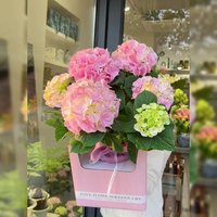 Bouquets de fleurs Plantes en pot Cadeaux créatifs de pendaison de crémaillère Boîtes à fleurs Boîtes décoratives Arrangements floraux Vente en gros