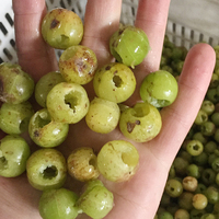 Commerciële professionele elektrische fruitontpitter voor lychee, longan, pruim, olijf, kers en mandarijn.