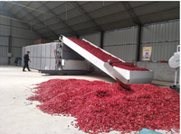Industriële Gaasbanddroogmachine Voor Het Continu Drogen Van Groenten En Fruit