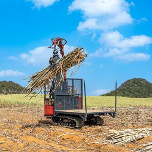 Transportador de Caña de Azúcar/Madera Xuvol, Transporte Fácil de Caña de Azúcar en el Campo, No Temer Días Lluviosos, Transportador de Caña de Azúcar/Madera - Product Image 4