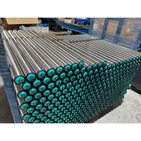 Rouleaux de convoyeur à gravité robustes sur mesure, tube en acier galvanisé, diamètre 50 mm pour la logistique d'entrepôt