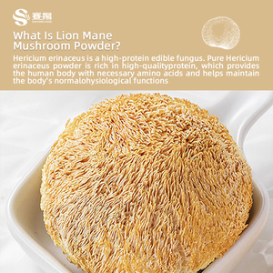 Poudre d'Extrait de Crinière de <span class=keywords><strong>Lion</strong></span> Biologique Certifiée UE&NOP, Qualité Alimentaire, Pure, à base de Champignons Hericium Erinaceus - Product Image 4