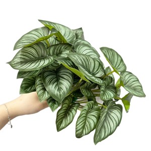 Plante artificielle en pot Meng Jie, 24 feuilles, mini plante verte, Monstera Deliciosa, fougère, verdure décorative d'intérieur - Product Image 5