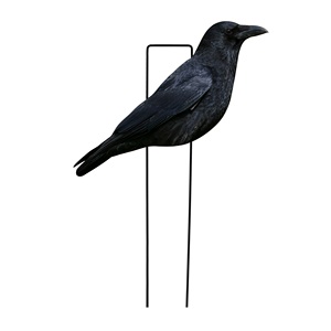 Décoys de chasse aux corbeaux en PP entièrement floqués, anti-reflet, imperméables, ultra-réalistes, fabriqués en usine (OEM/ODM) – Silhouettes d'oiseaux pour la chasse - Product Image 4