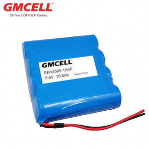 Batterie personnalisée LiSOCl2 4S1P ER14250/ER14505/ER17505/ER18505/ER17335/ER26500/ER34615 14,4V pour compteur intelligent NB-IOT GPS - Product Image 2
