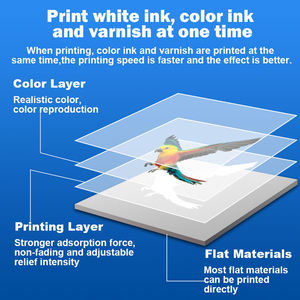 Máquina <span class=keywords><strong>impresora</strong></span> portátil UV de cama plana nueva inyección de tinta 3050 para Pegatinas de logotipo de tatuaje impermeables para vidrio, cerámica y plástico - Product Image 6