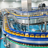 ENAK Automatische Gevulde Fruitlijn voor Aardbeien, Meidoorn, Gele Perziken - Multifunctioneel, Hoge Efficiëntie, Eenvoudige Bediening