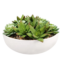 Fabricant Oh Arts Vente en Gros Plantes de Simulation Plantes Succulentes Artificielles Avec Pot Exquis Pour Décoration de Fenêtre