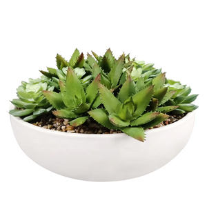 오 예술 제조업체 도매 시뮬레이션 식물 창 장식을위한 절묘한 냄비와 인공 다육 식물 - Product Image 1