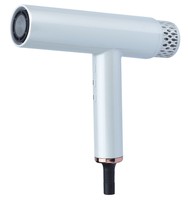 Sèche-cheveux BLDC à séchage rapide haute vitesse avec fonction ionique et buse concentratrice pour salon, usage domestique et hôtelier