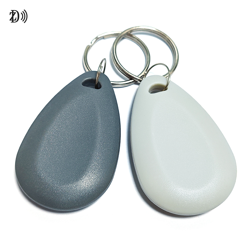 Customized Shape Access Control ABS Keychains