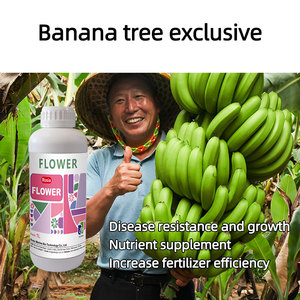 <span class=keywords><strong>Engrais</strong></span> Liquide Biologique à Haut Rendement pour Bananiers, Libération Rapide, Stockage Longue Durée, Spécial Favorisant la Floraison et la Fruitation - Product Image 2