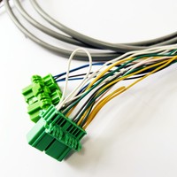 Rangkaian Kabel Kustom, Kabel Harness Mobil, Kabel Harness Baterai, Pasokan Pabrik