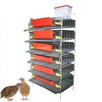 Cages à cailles modernes à 4 niveaux, automatiques, galvanisées, avec système de collecte d'œufs et d'abreuvement automatique, nouvelle capacité élevée
