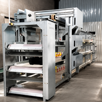 Système de cages automatiques pour poulets de chair, structure en H, acier galvanisé à chaud, 3-4 niveaux, alimentation, abreuvement, élimination du fumier, ferme avicole