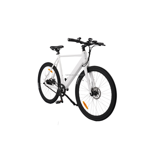 OEM Thiết Kế Cổ Điển Điện Xe Đạp Đường Ebike 48V 250W Ổ Đĩa Vành Đai Xe Đạp Điện Nội Bộ Biến Tốc Độ Sẵn Sàng Để Tàu Trong Kho - Product Image 2