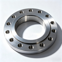 Service de fraisage CNC sur mesure, brides en acier inoxydable pour tuyaux et vannes