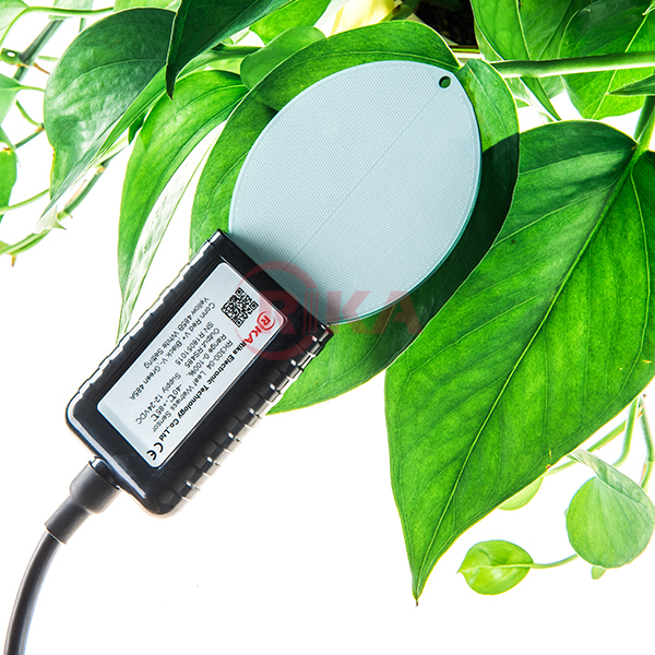 RK300-04 Digital Modbus RS485 Signal Output Leaf Wetness Dielectric Sensor for Plant
