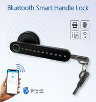 Serrure de porte intelligente Tuya avec empreinte digitale double face en option, application mobile BLE, serrure de porte numérique d'entrée