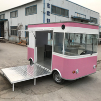 Camion de nourriture électrique TUNE pour crème glacée, tacos, hot-dogs, avec panneau solaire