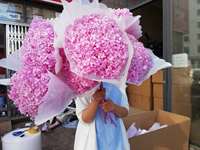 Hydrangea Anna stabilisée, hydrangea séché, grand bouquet, vente en gros, fleurs de mariage, décoration maison, restaurant, événements, arrangement Saint-Valentin