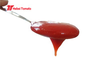 340g Tomatensaus Dipsaus Condiment Pasta Zoetzure smaak 28-30% Brix Doos/Fles Exporteur
